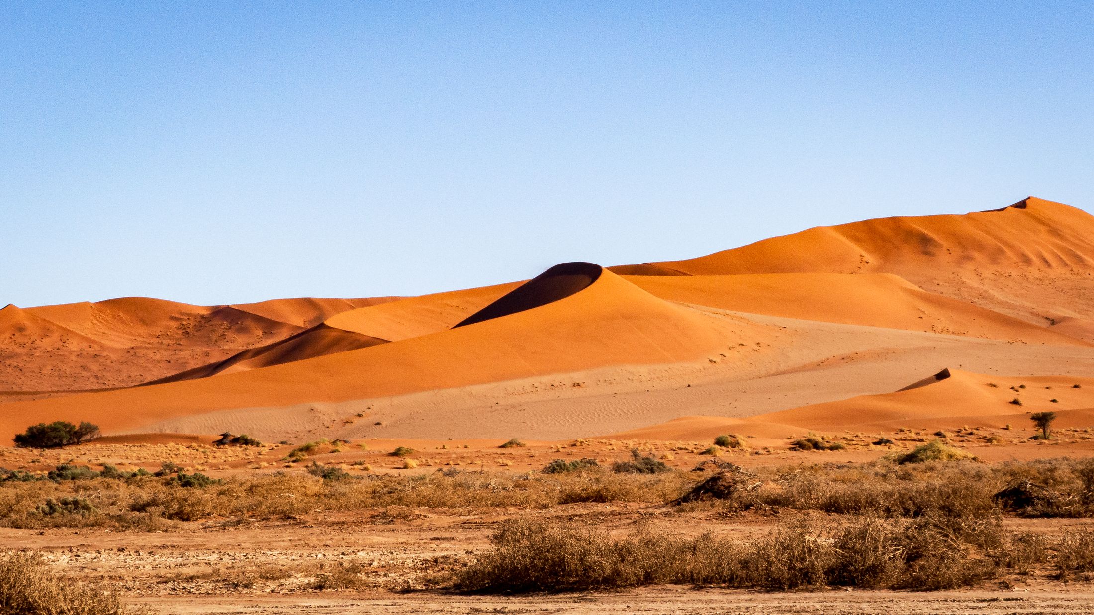 Vast Namibian desert dunes