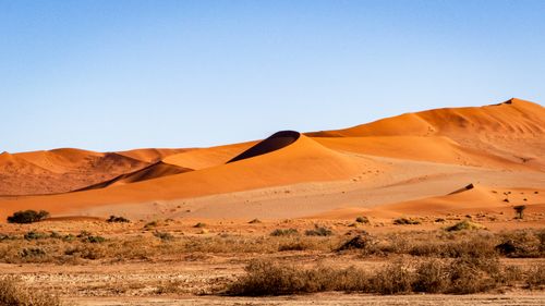 Free Explore the serene beauty of expansive sand dunes beneath a clear blue sky, a perfect desert landscape. Stock Photo