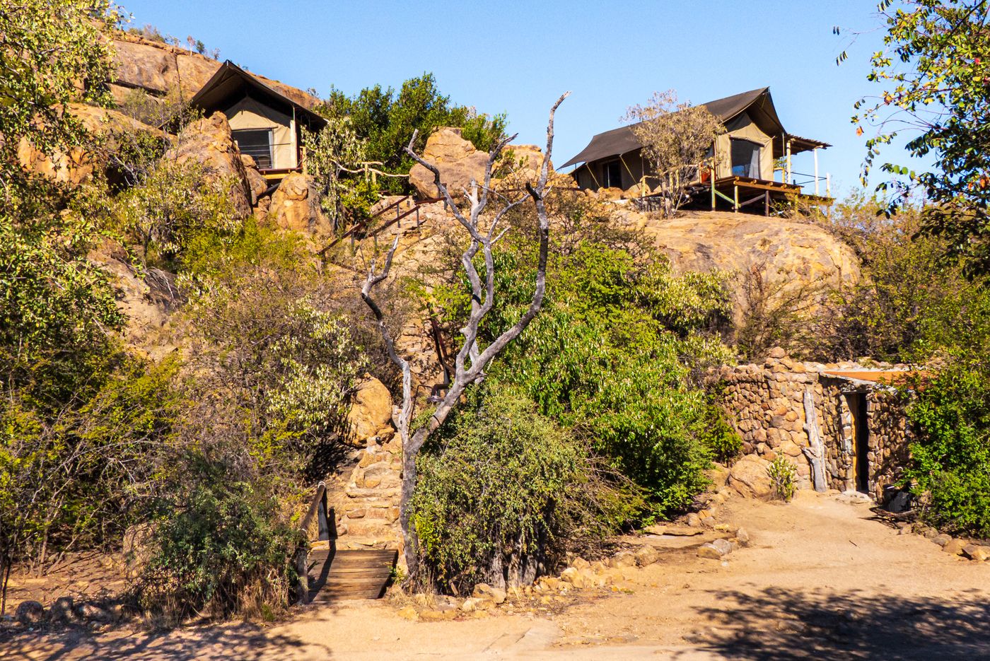 A rustic safari lodge in the wilderness