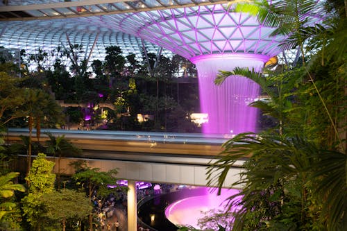 Jewel at Changi (Purple)
