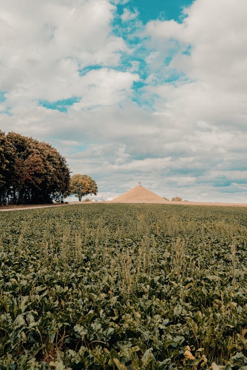 Immagine gratuita di city, landscape, napoleon