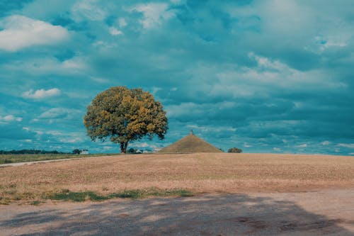 Immagine gratuita di city, landscape, napoleon