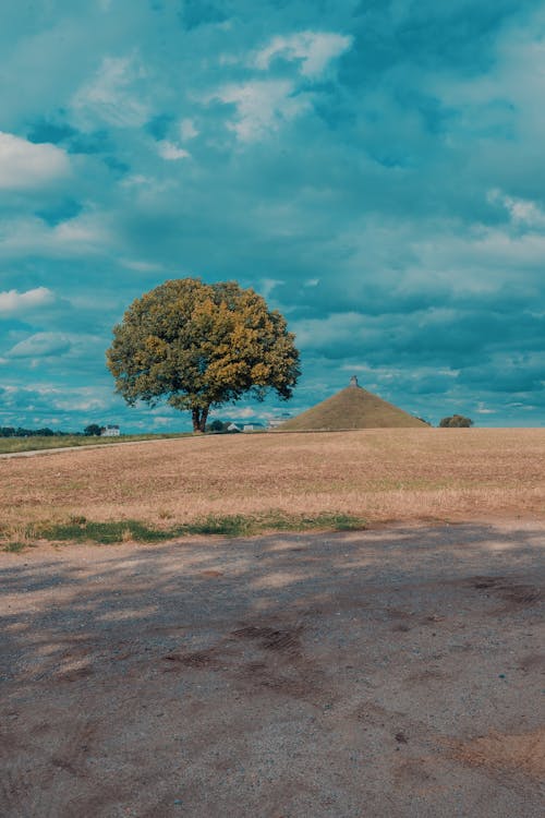 Immagine gratuita di city, landscape, napoleon