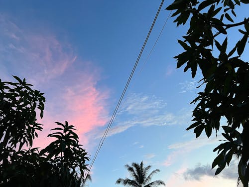 sky and moon