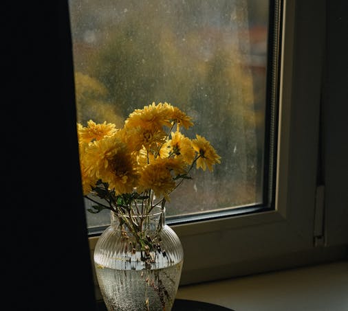 100,000+ Best Window Photos · 100% Free Download · Pexels Stock Photos