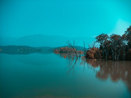 Free Nature Stock Photo