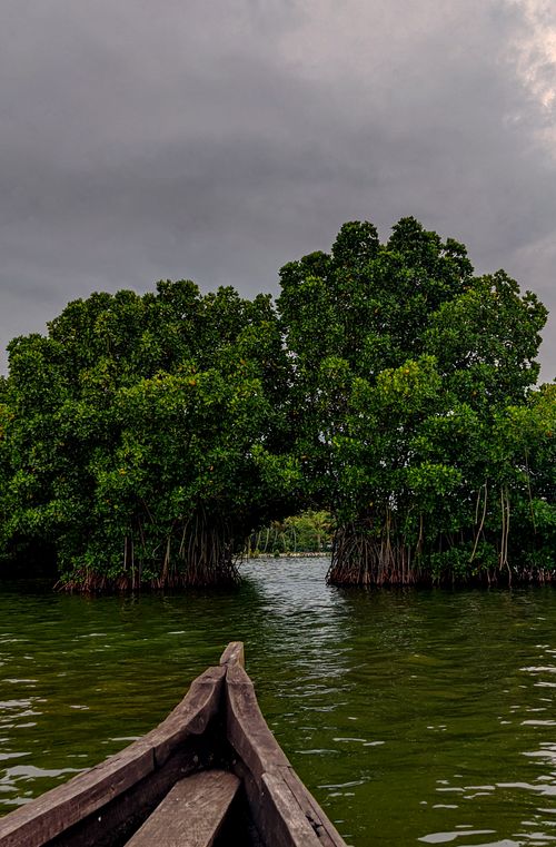 Free Island Stock Photo