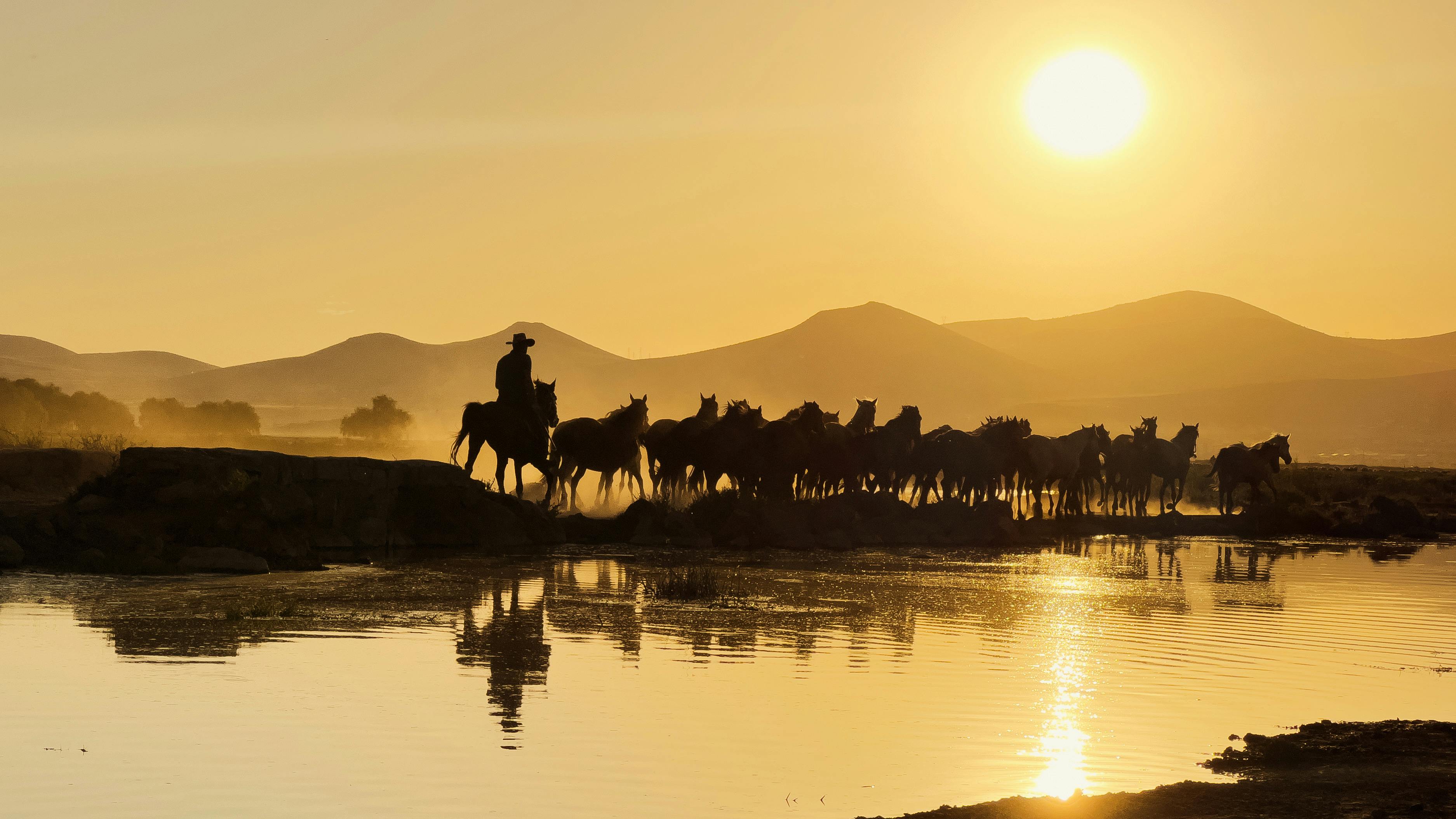 A wrangler guides a herd of horses across a lake with a stunning sunrise backdrop.