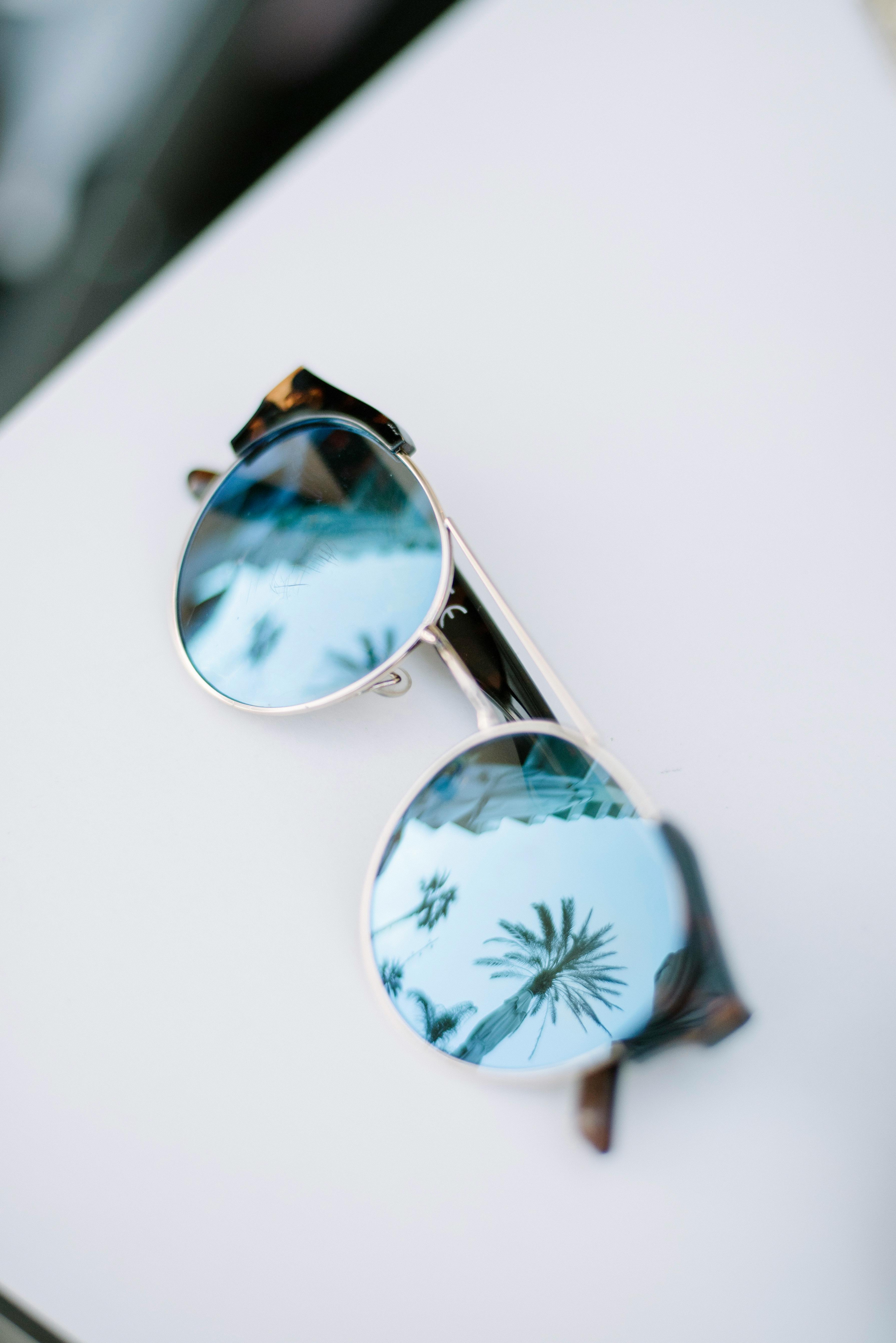 Free Minimalist sunglasses reflecting palm trees on a bright summer day. Stock Photo