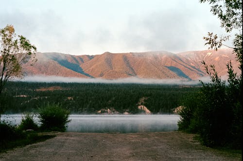 山岳, 木, 森林の無料の写真素材