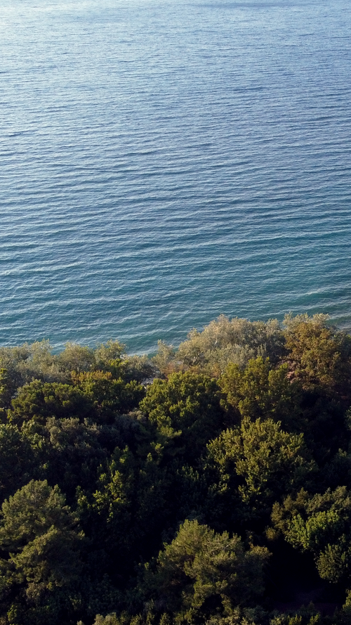Free A breathtaking view of Kuşadası's lush coastline meeting the tranquil Aegean Sea in Türkiye. Stock Photo