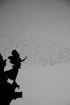 Silhouette of a statue with birds flying under a vast sky, captured in black and white.