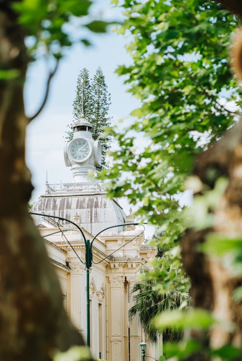 Imagine de stoc gratuită din arbore, ceas, exterior de clădire