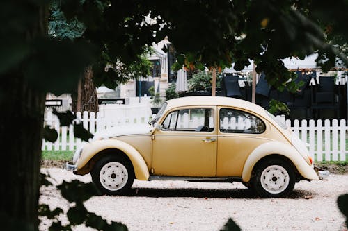 Volkswagen Beetle on Street