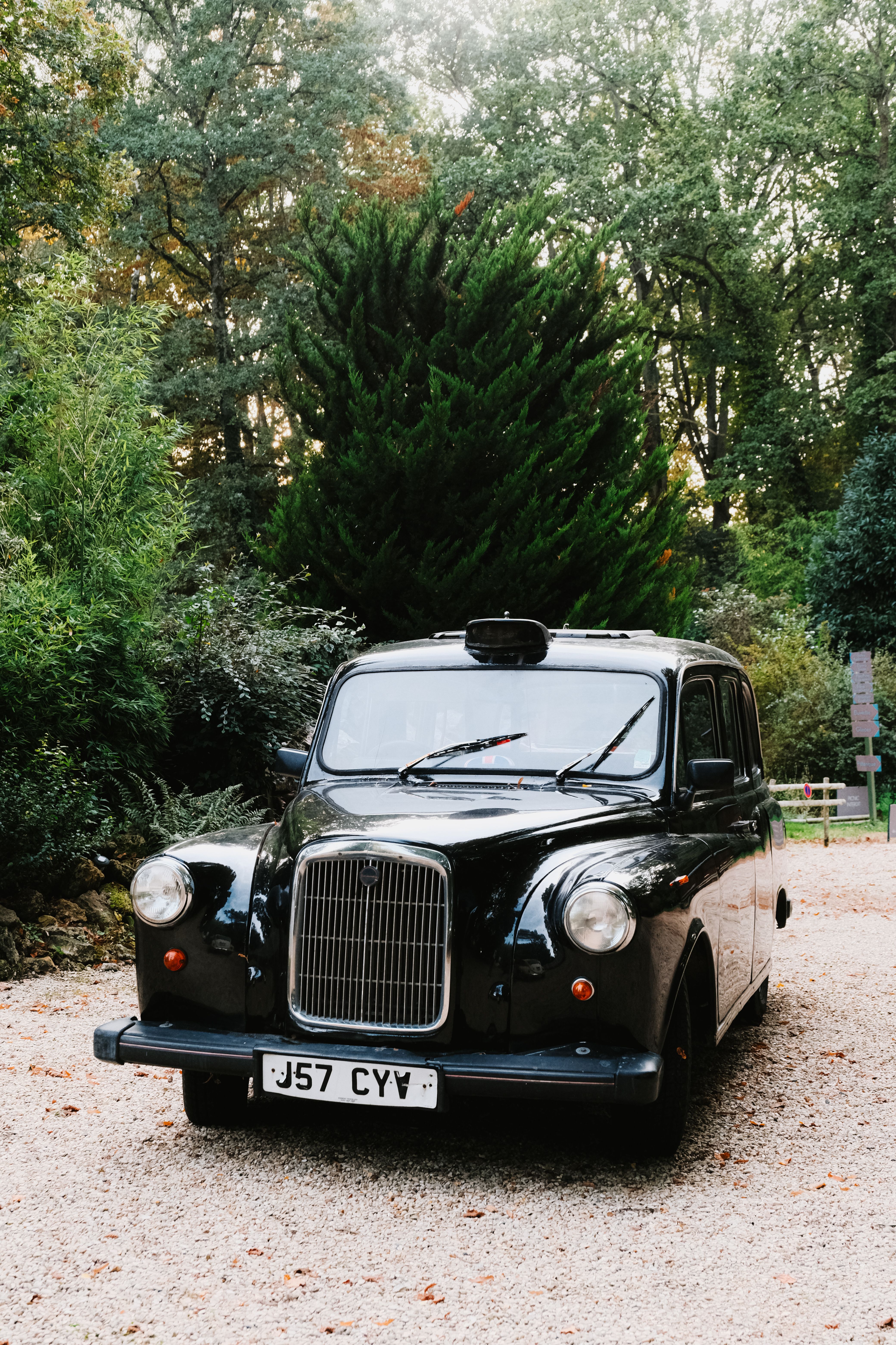 Vintage black Austin FX4 taxi in a serene park, showcasing classic automotive elegance.