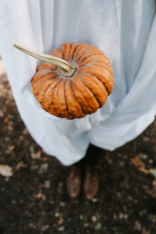 A person holding a pumpkin in their hands