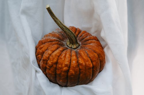 Close up of Pumpkin