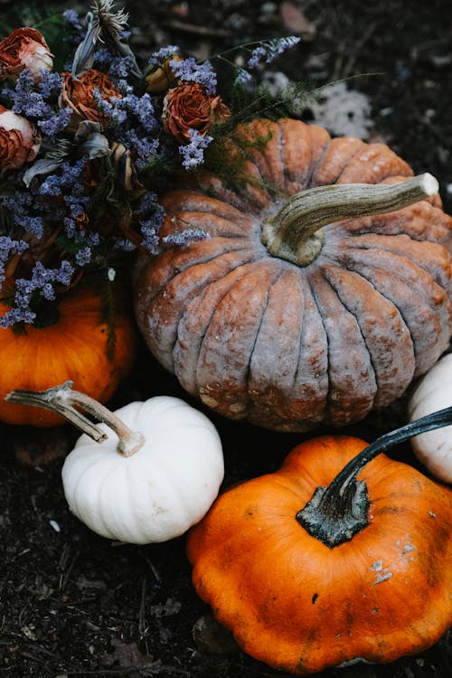 Pumpkins and Roses