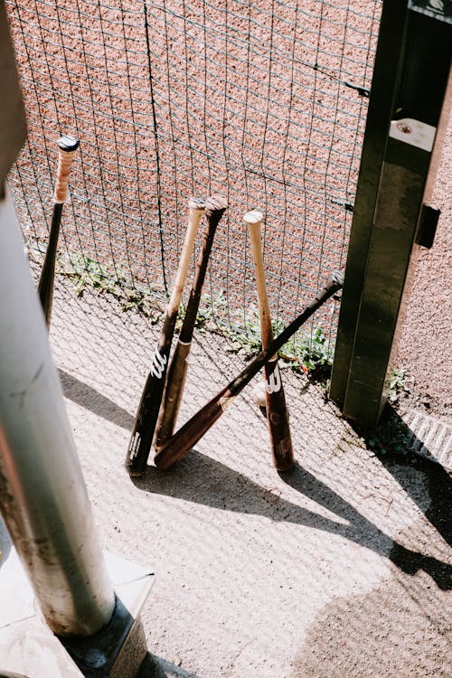 Baseball Bats by Fence