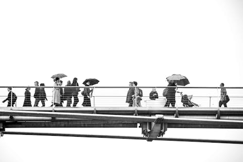 Základová fotografie zdarma na téma déšť, deštník, jdoucí lidé