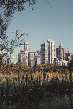 Urban skyline of Vancouver, BC with fall foliage in foreground.