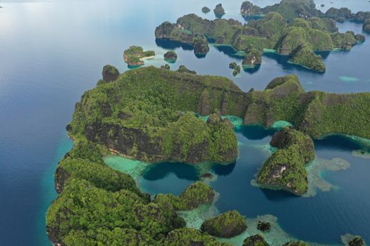 Cape Kri reef dive (world record) — Raja Ampat