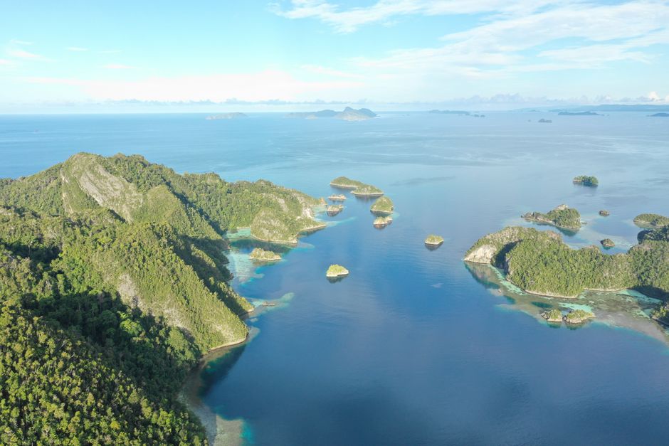 Sejarah Singkat dan Letak Geografis: Memahami Jantung Papua Selatan Sejarah Singkat dan Letak Geografis: Memahami Jantung Papua Selatan