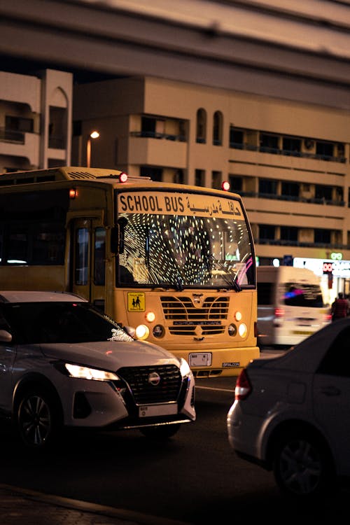 School Bus and Cars on Street