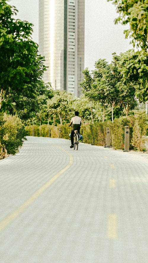 Free A solitary cyclist rides along a sunny, tree-lined path with modern skyscrapers in the background, Dubai. Stock Photo
