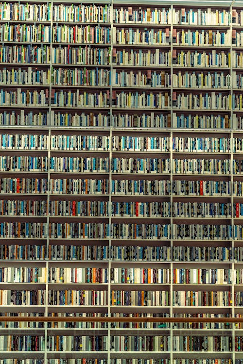 Books on Shelves of a Tall Bookcase