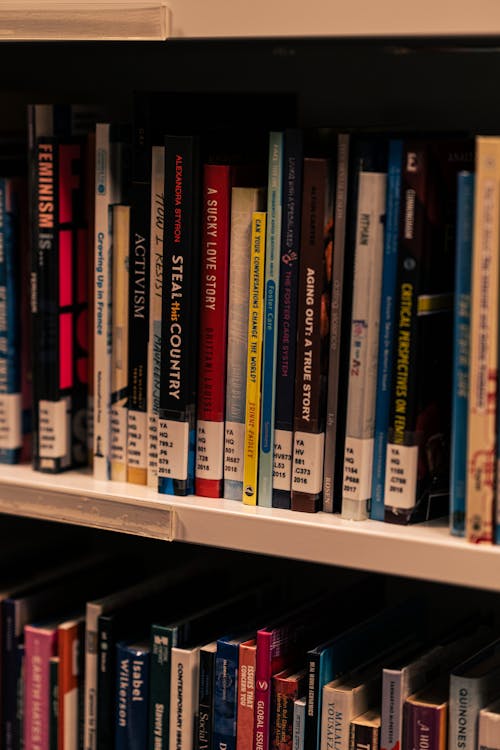 Books Stacked on Library Shelves