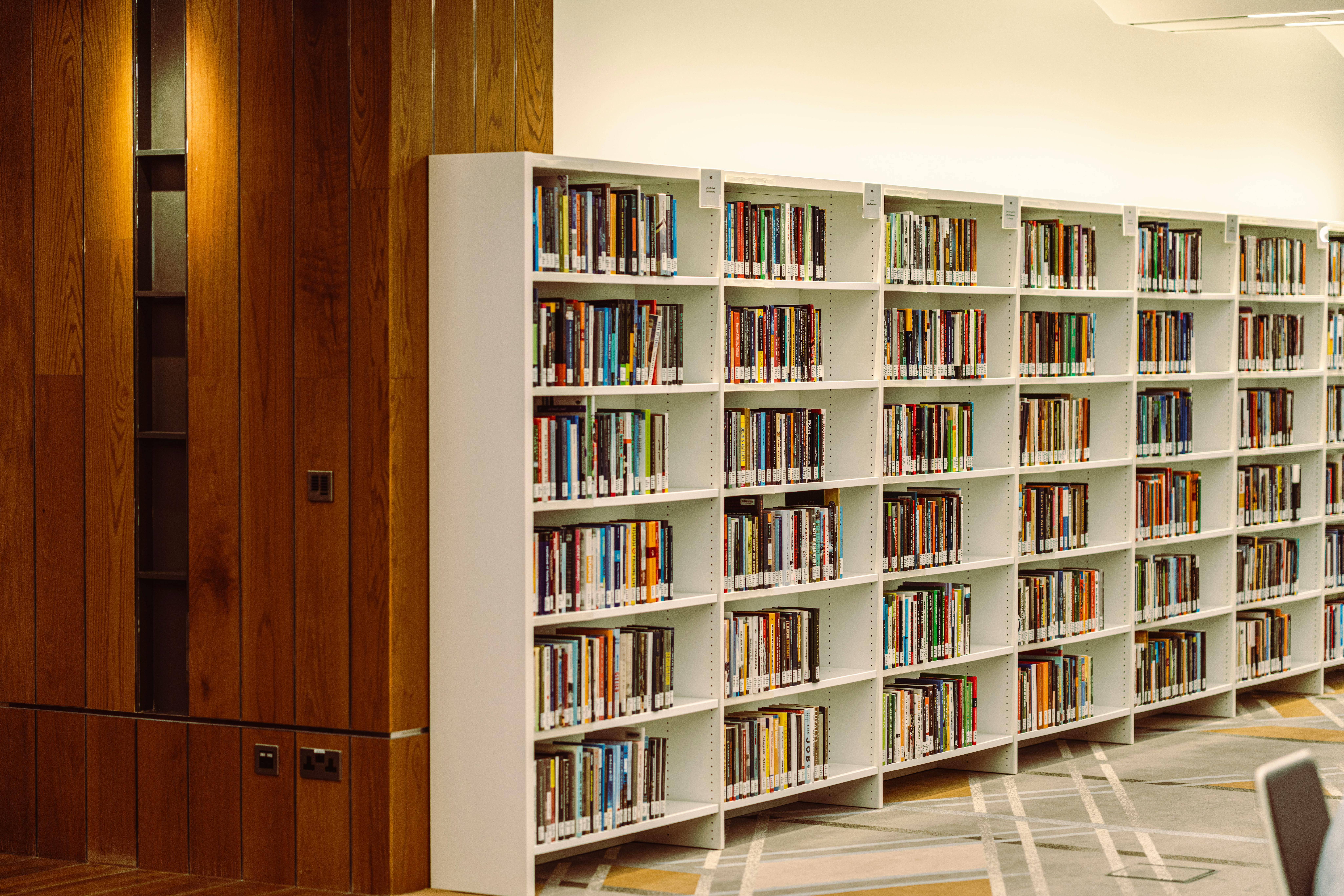 Influence of Sigizmund Krzhizhanovsky on Viktor Pelevin's The Life of Insects - Advance Book Readers