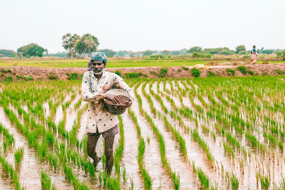 UP Agriculture Recruitment 2026
