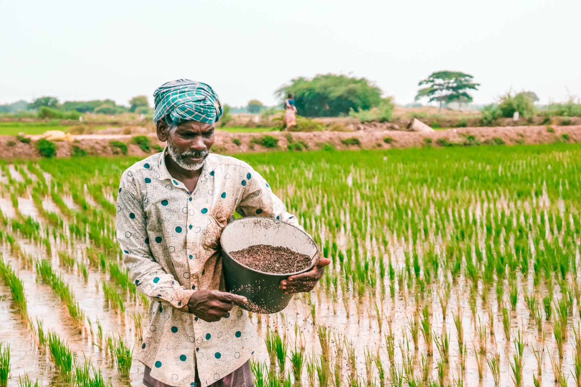 OECD Report Confirms India as World’s Fastest-Growing Economy