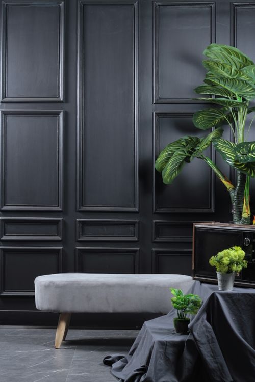 Free A stylish minimalist interior featuring a grey bench, decorative plants, and dark paneled walls. Stock Photo