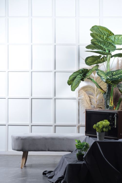 Free Bright modern interior with plants and minimalist decor featuring a stylish bench. Stock Photo