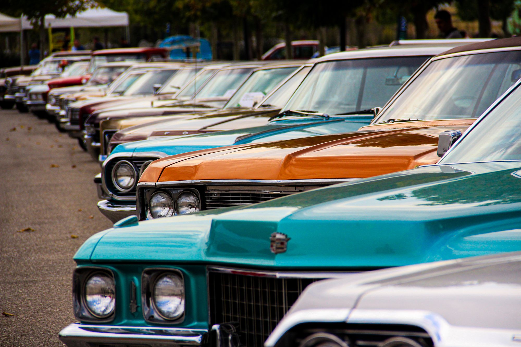 A row of colorful classic cars displayed outdoors at a show closely matches the section