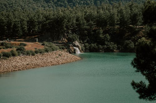 景觀, 森林, 樹木 的 免費圖庫相片