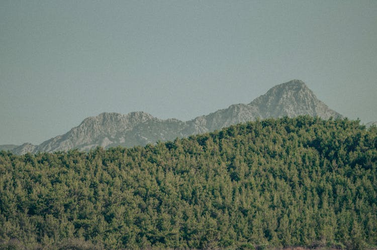 Steep Rocky Mountains Behind Mountains Covered In Forest