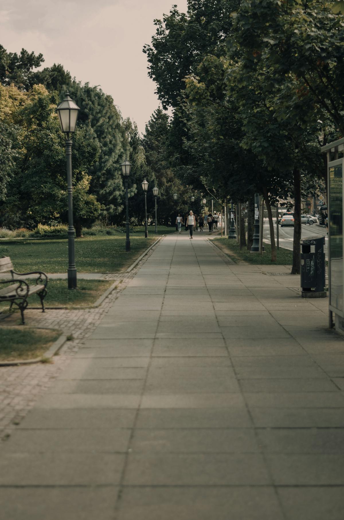 Pavement Path in Urban Park · Free Stock Photo