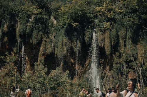 Foto d'estoc gratuïta de aigua, bosc, cascada