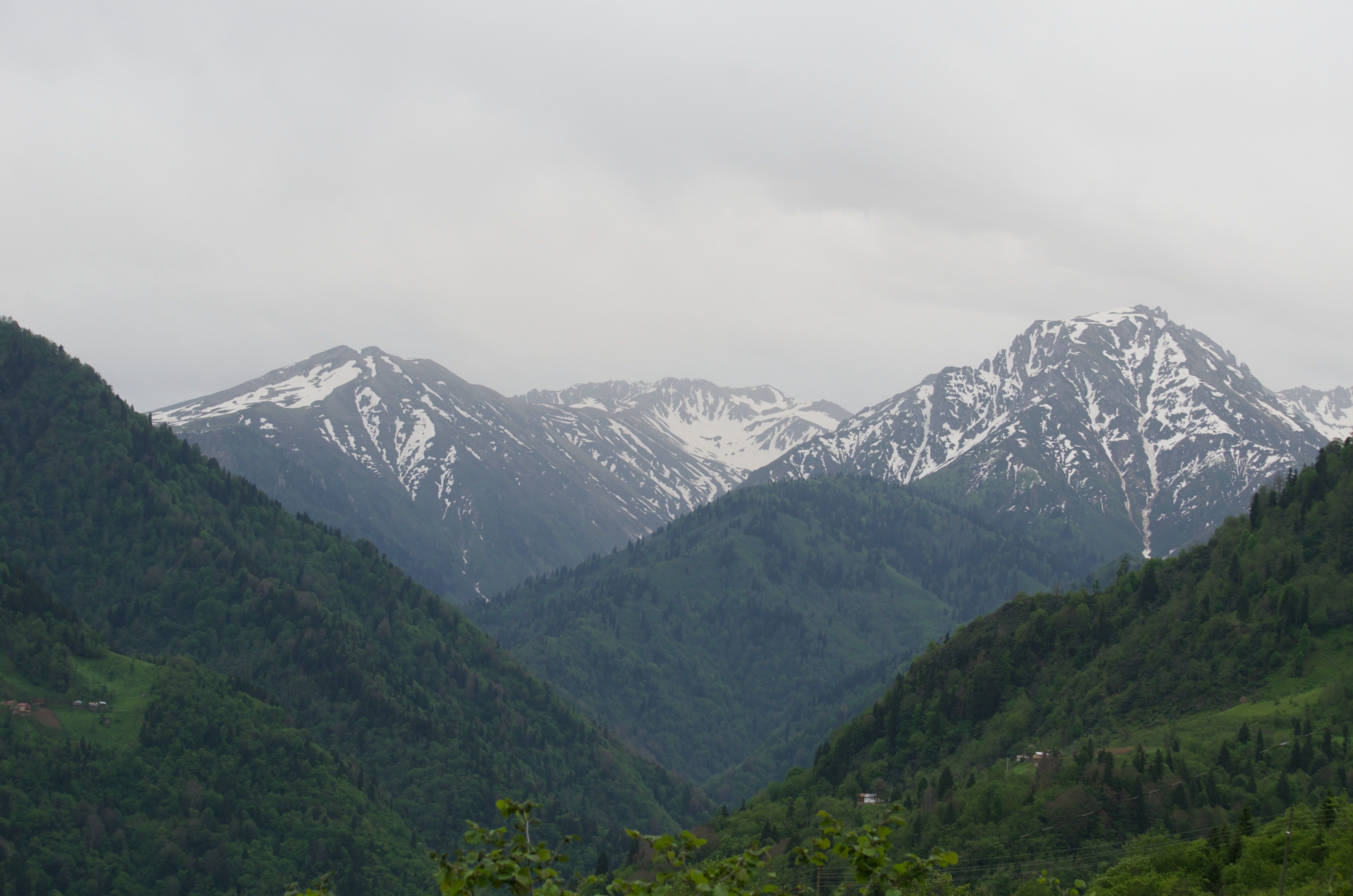 Artvin için Konya çıkışlı doğa ve yayla önerisi