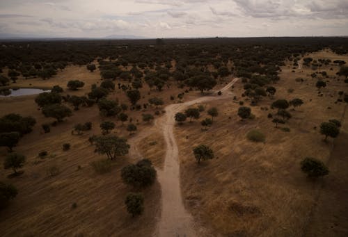 Drone Shot of Dirt Road