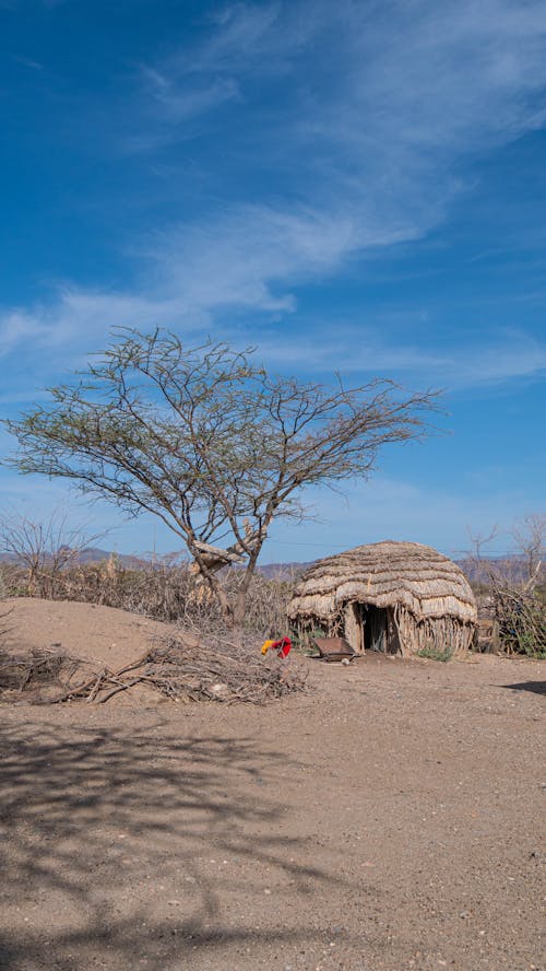 Thatched House in Village