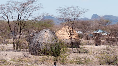 African Huts