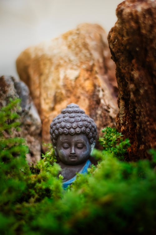 Kostnadsfri bild av buddha, buddhist, figur