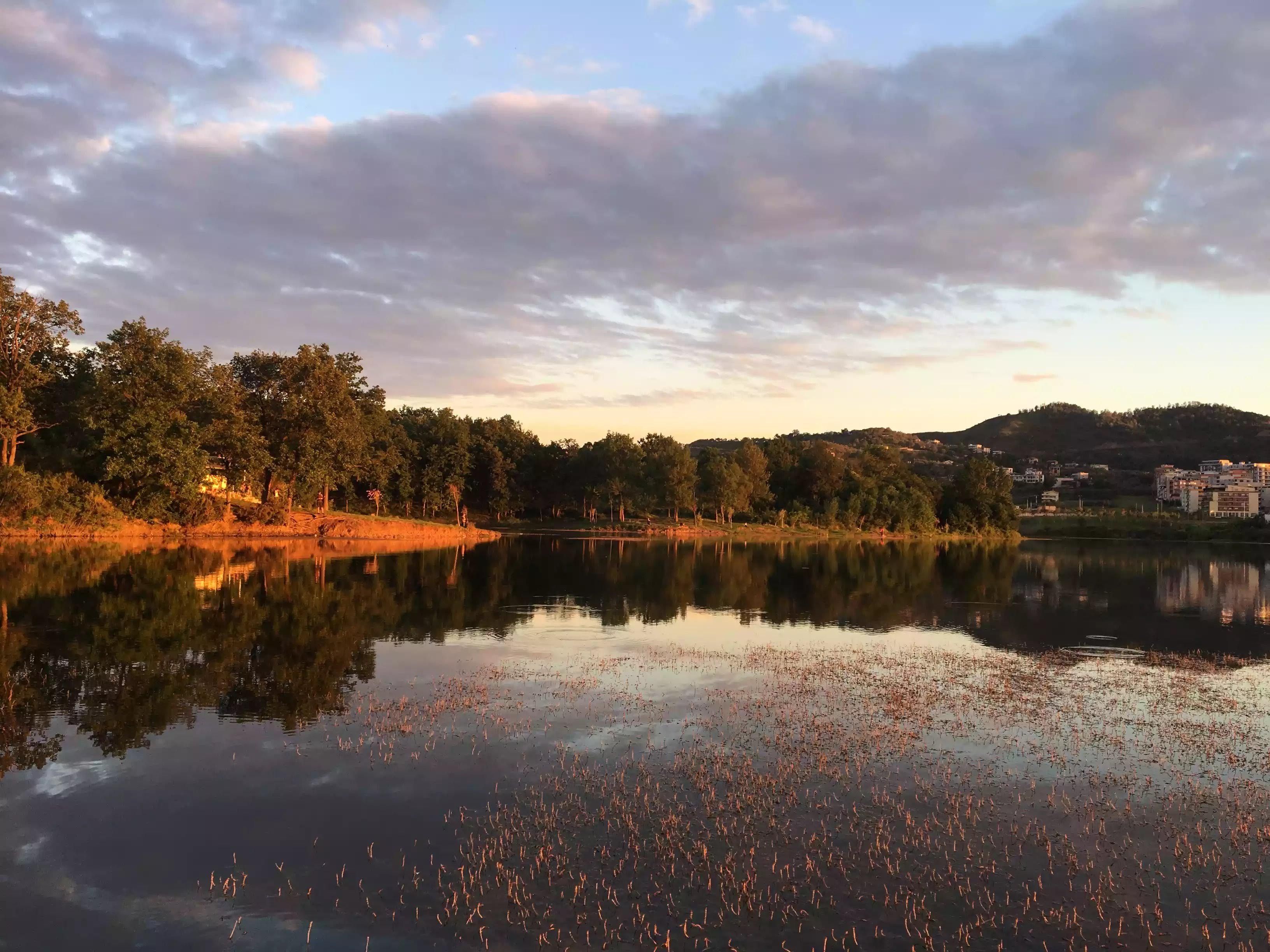Reflection of Autumn Forest in Lake Surface · Free Stock Photo