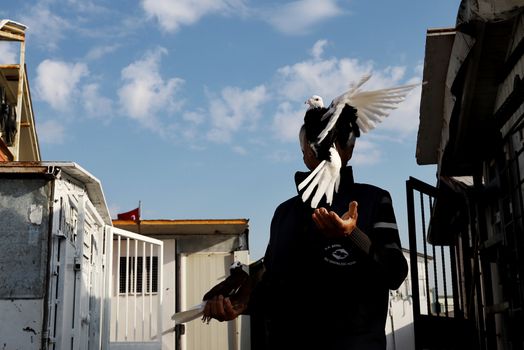 Person Standing with Pigeons in Town