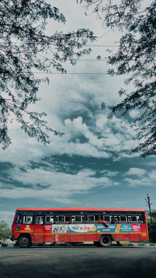 Základová fotografie zdarma na téma autobus, bílé mraky, načechraný