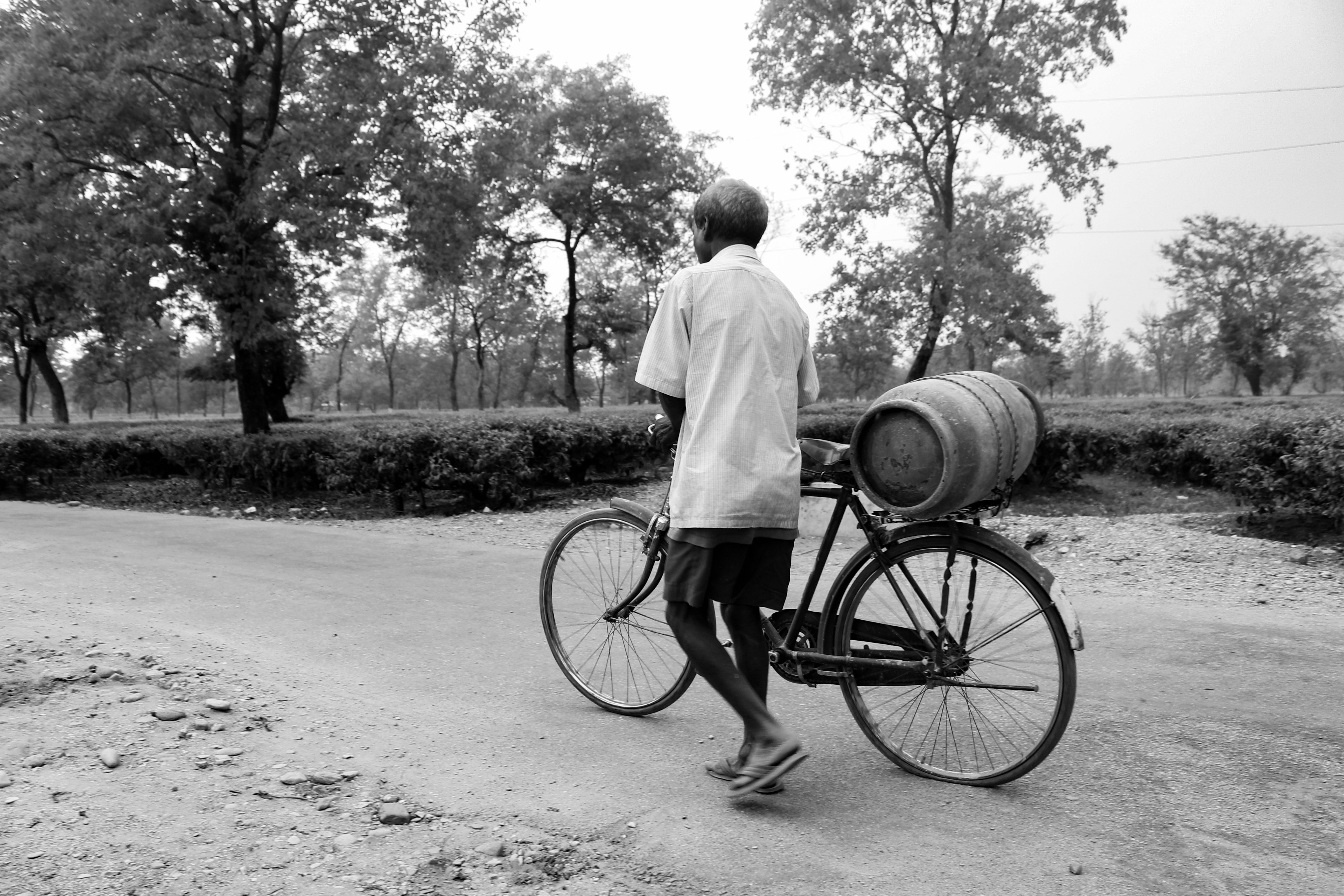 Man On Bicycle Free Stock Photo Man on bicycle free stock photo